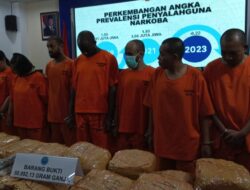 BNN Rilis Pengungkapan 11 Kasus Narkotika Periode Awal Januari 2025